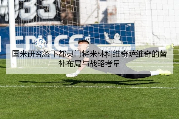 国米研究签下都灵门将米林科维奇萨维奇的替补布局与战略考量